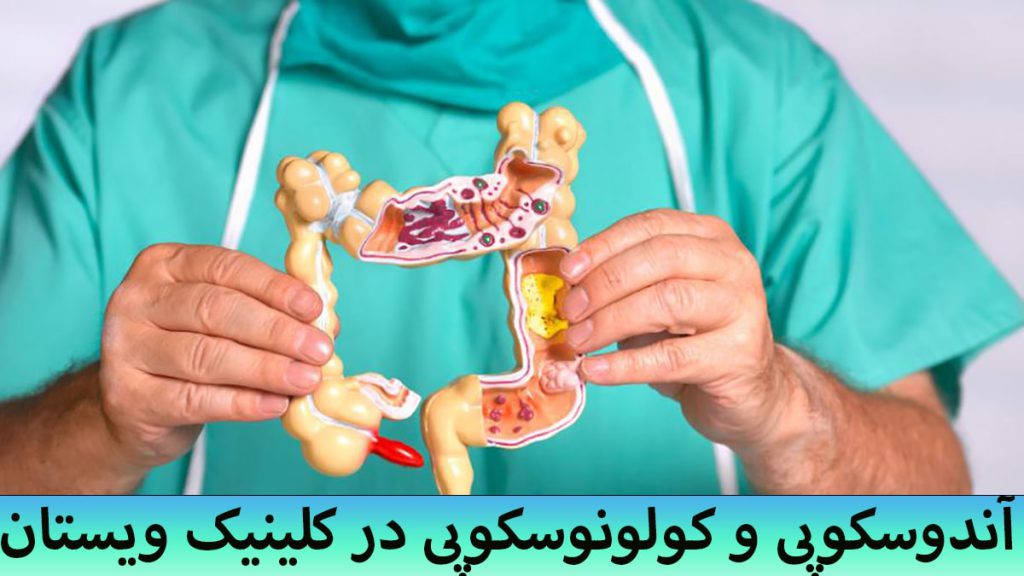 پزشک در حال بررسی و توضیح یک مدل از روده