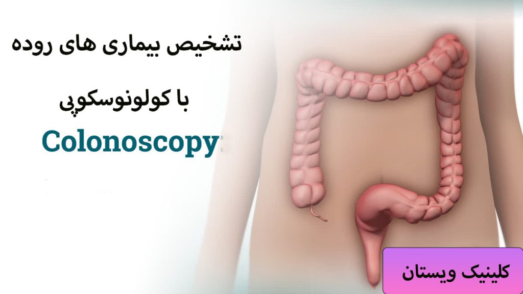نمایی از روده انسان نمایش داده می شود