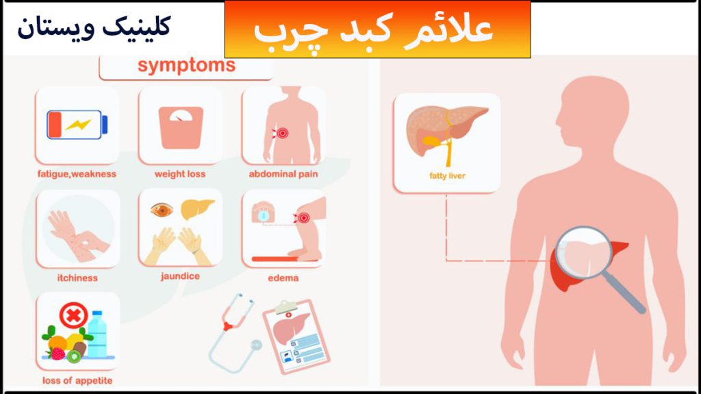 درسمت رراست بدن یک شخص و کبد او به طور مشخص نشان داده شده در شمت چپ علائم چربی کبد در کادرهای مجزا دیده می شوند