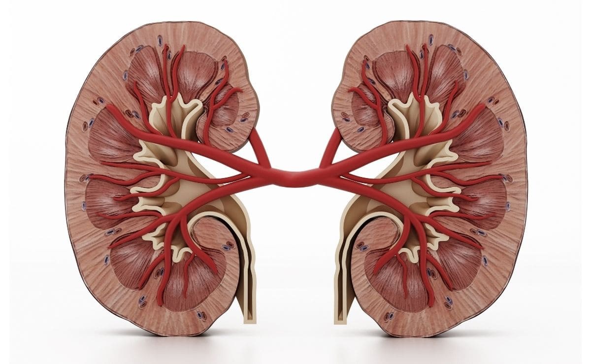 تشخیص عفونت کلیه