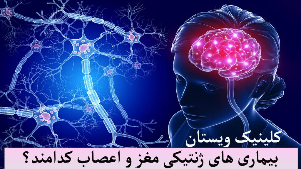 بیماری های ژنتیکی تصویری دیجیتالی از مغز و عصب انسان
