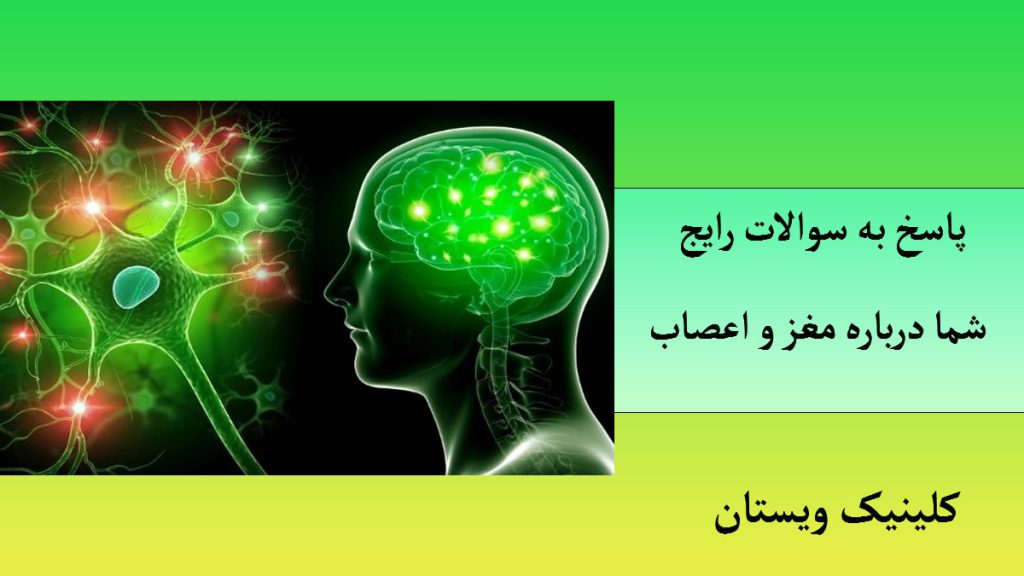بیماری های مغز و اعصاب تصویر دیجیتالی از مغز با پس زمینه سبز