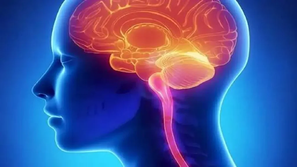 عکس مغز و جمجمه فرد بیمار مبتلا به ام اس چه عواملی باعث فلج شدن در بیماری ام اس میشود؟