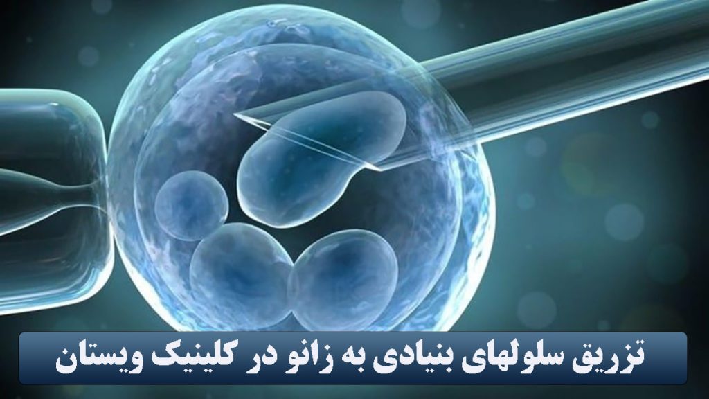 تصویری دیجیتالی از سلول بنیادی