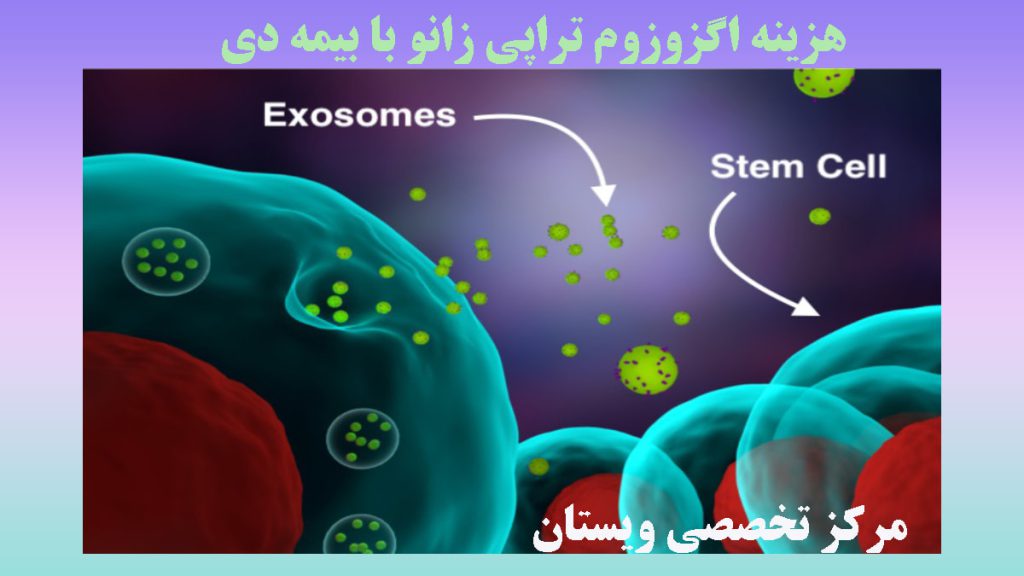 تصویر انیمیشنی از سلول های انشان برای اگزوزوم تراپی