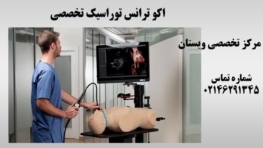 یک پزشک بصورت آزمایشی روی یک مولاژ بدن  اکو ترانس توراسیک تخصصی انجام می دهد