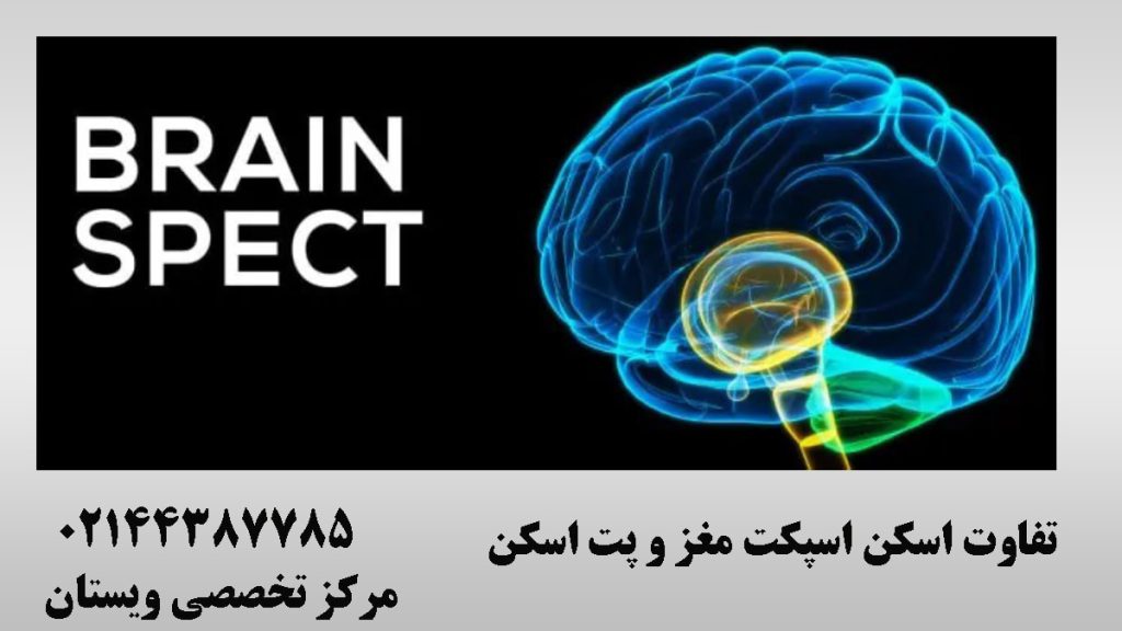 تصویر دیجیتالی از مغز انسان