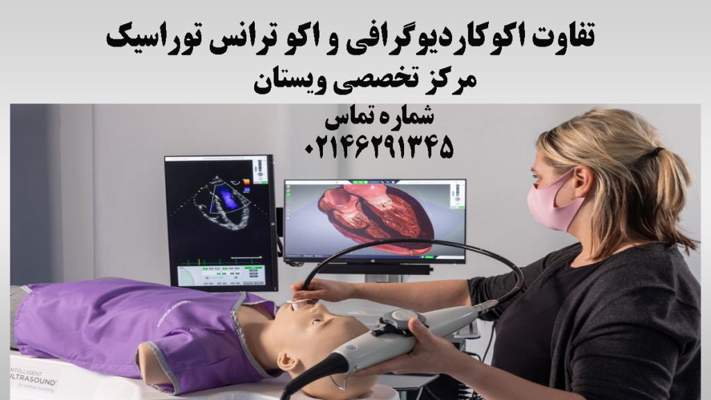 یک پزشک خانم در حال گرفتن اکو ترانس توراسیک بیمار