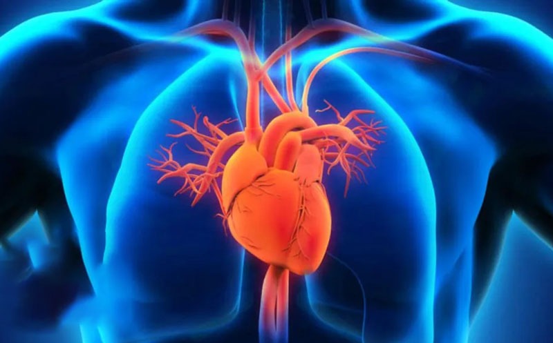 نکات مهم برای انتخاب بهترین جراح دریچه قلب