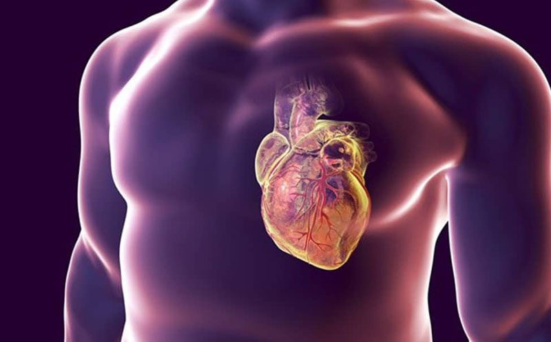 درمان و تشخیص میوکاردیت