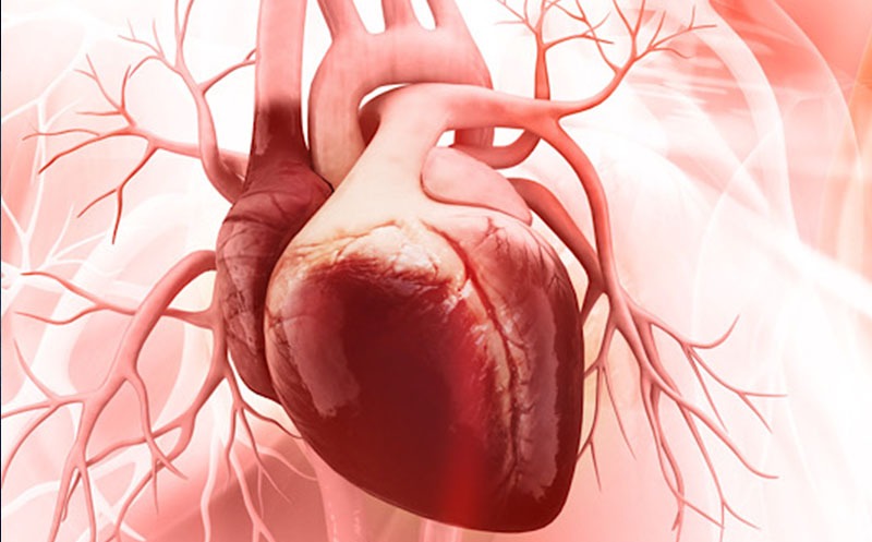 طول دوره درمان و بهبودی میوکاردیت چقدر است؟