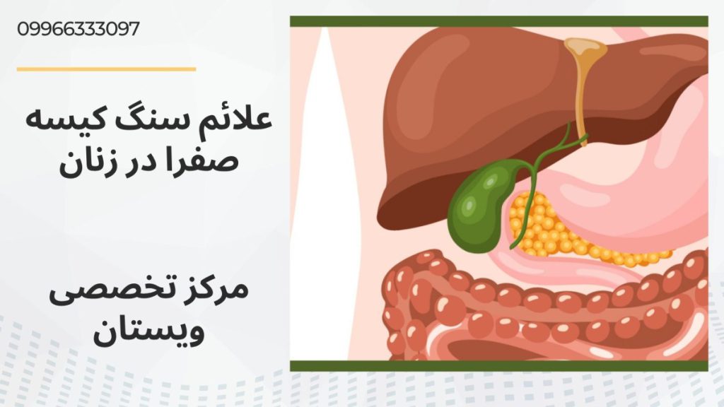 اعضای داخلی بدن انسان