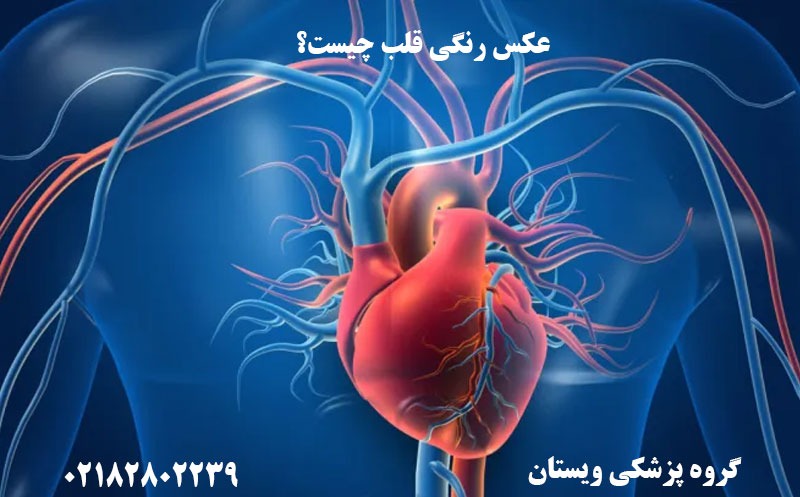 عکس رنگی قلب چیست؟