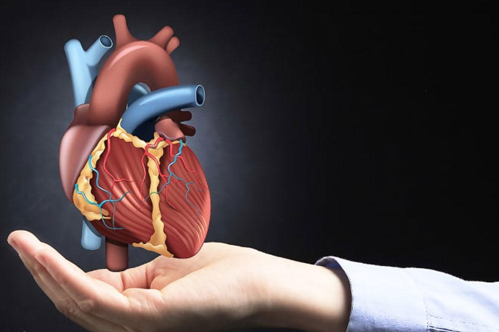 هزینه ام آر آی قلب چقدر است؟ هزینه ام آر آی قلب چقدر است؟