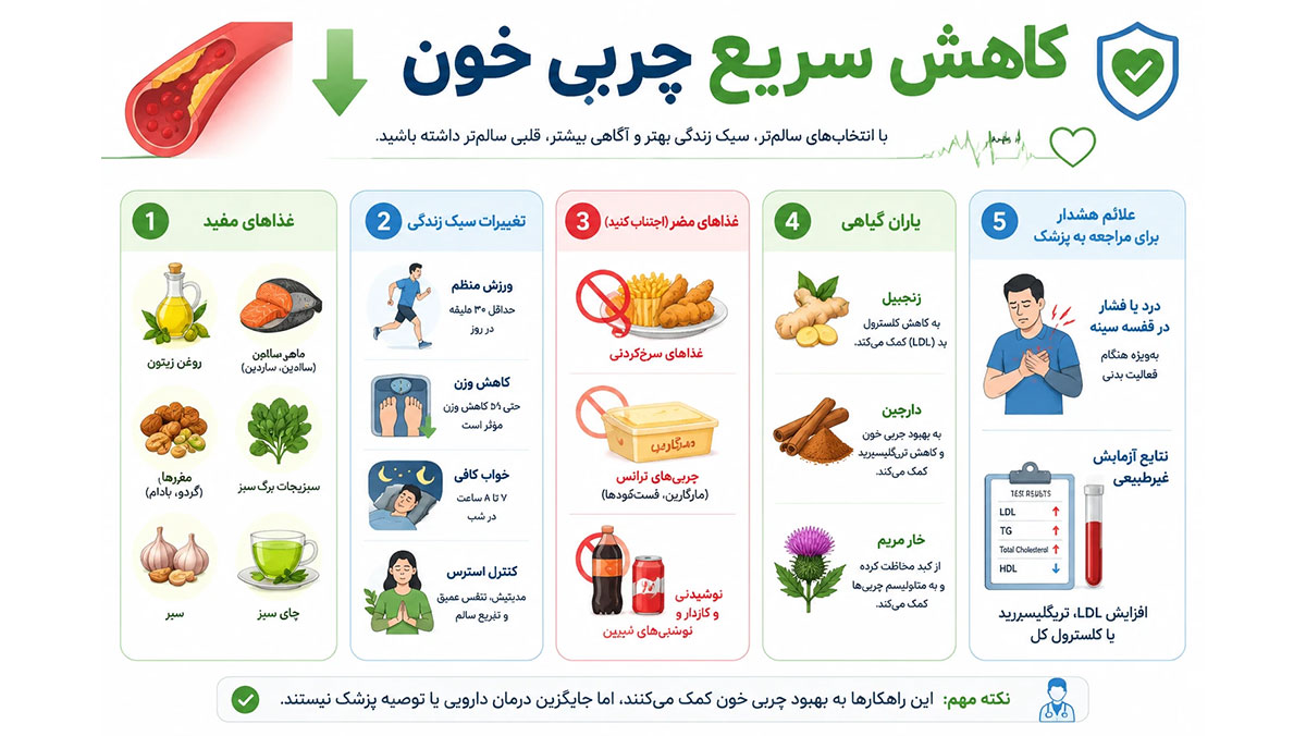کاهش سریع چربی خون کاهش سریع چربی خون