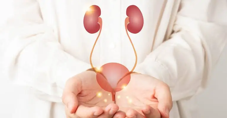 چگونه بهترین متخصص اورولوژی و مرکز درمانی را برای نوار مثانه انتخاب کنیم؟ هزینه تست یورودینامیک - چگونه بهترین متخصص اورولوژی و مرکز درمانی را برای نوار مثانه انتخاب کنیم؟